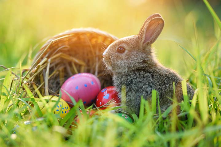 Mehr über den Artikel erfahren Osterschiessen 2025